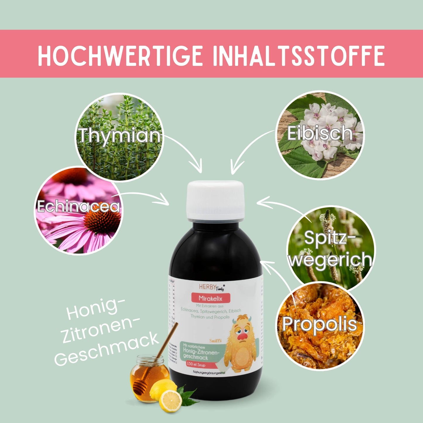 Mirakelix Flasche mit Pfeilen, die die pflanzlichen Inhaltsstoffe zeigen: Echinacea, Thymian, eibisch, Spitzwegerich, Propolis. Honig-Zitronen-Geschmack
