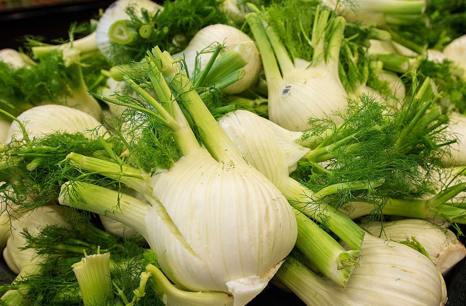 Fenchel zur Linderung von Blähungen bei Kindern als Verdauungshilfe