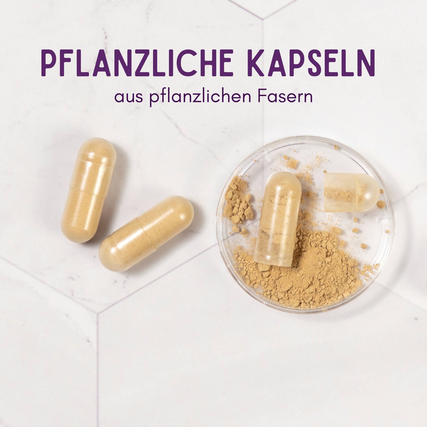 zwei Kapseln, haben eine pflanzliche Kapselhülle, daneben liegt eine Petrischale mit einer geöffneten Kapsel auf beigem Pulver