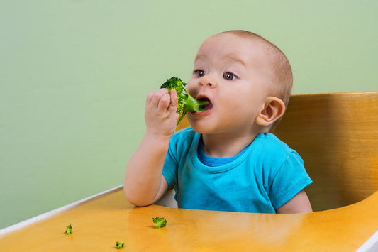 Wenn Kinder nicht essen wollen – und warum Bitterstoffe dabei helfen können