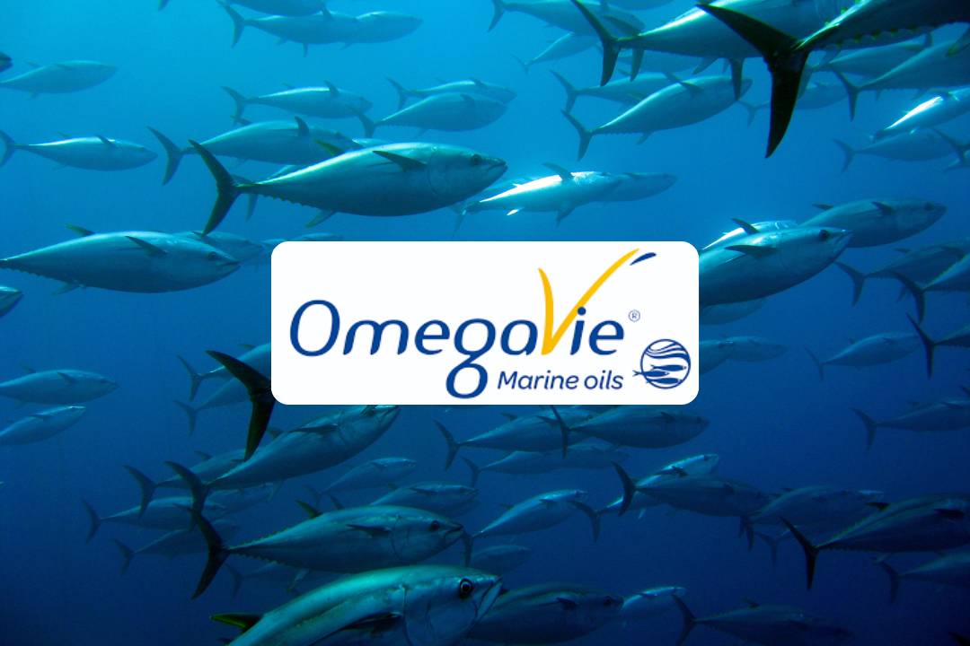 Omegavie Logo und Thunfische im Meer 