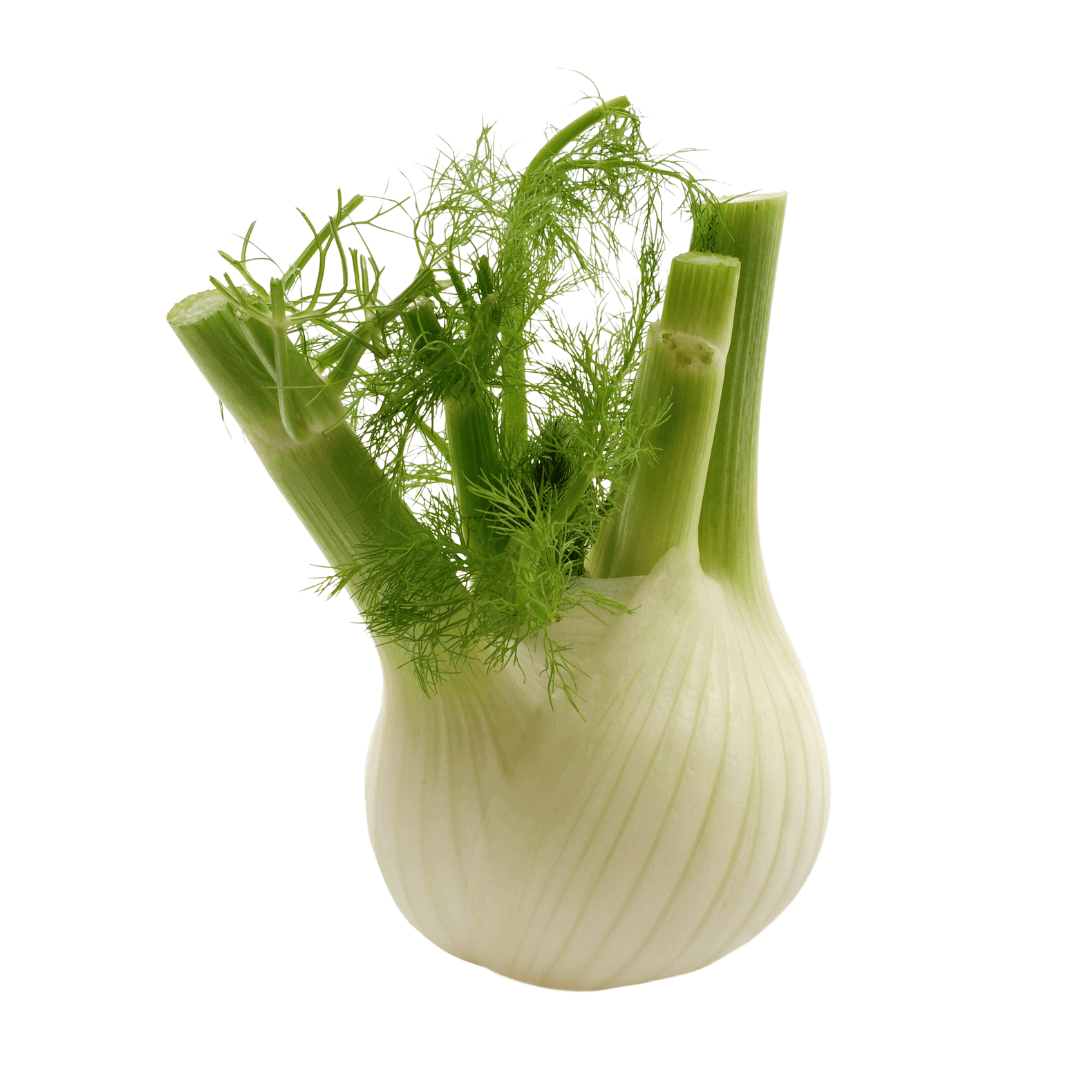 Fenchel kann die Verdauung erleichtern und Blähungen lindern.