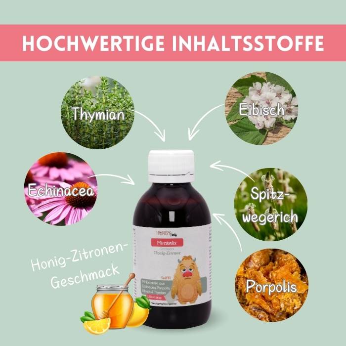 Mirakelix Flasche mit Pfeilen, die die pflanzlichen Inhaltsstoffe zeigen: Echinacea, Thymian, eibisch, Spitzwegerich, Propolis. Honig-Zitronen-Geschmack