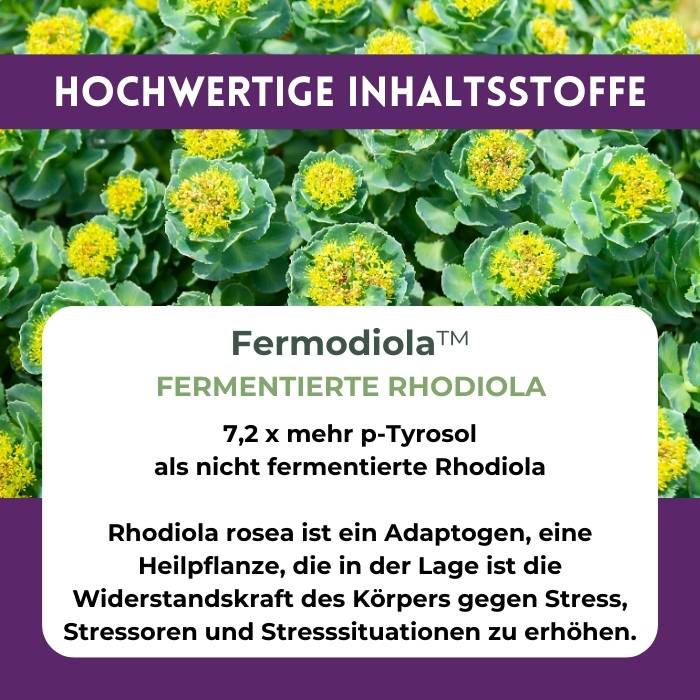 Erläuterung zum Markenrohstoff Fermodiola aus fermentiertem Rosenwurz