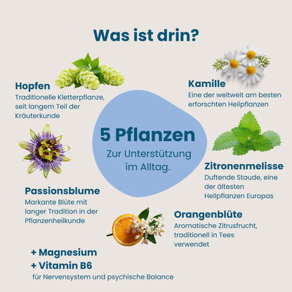 Übersicht der fünf Pflanzenextrakte in Chilly Milly, Hopfen, Kamille, Passionsblume, Zitronenmelisse, Orangenblüte, plus Magnesium und Vitamin B6