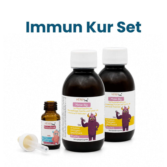 Immun Kur Set von Herby Family mit Mister Big und BabyBiotik für Kinder