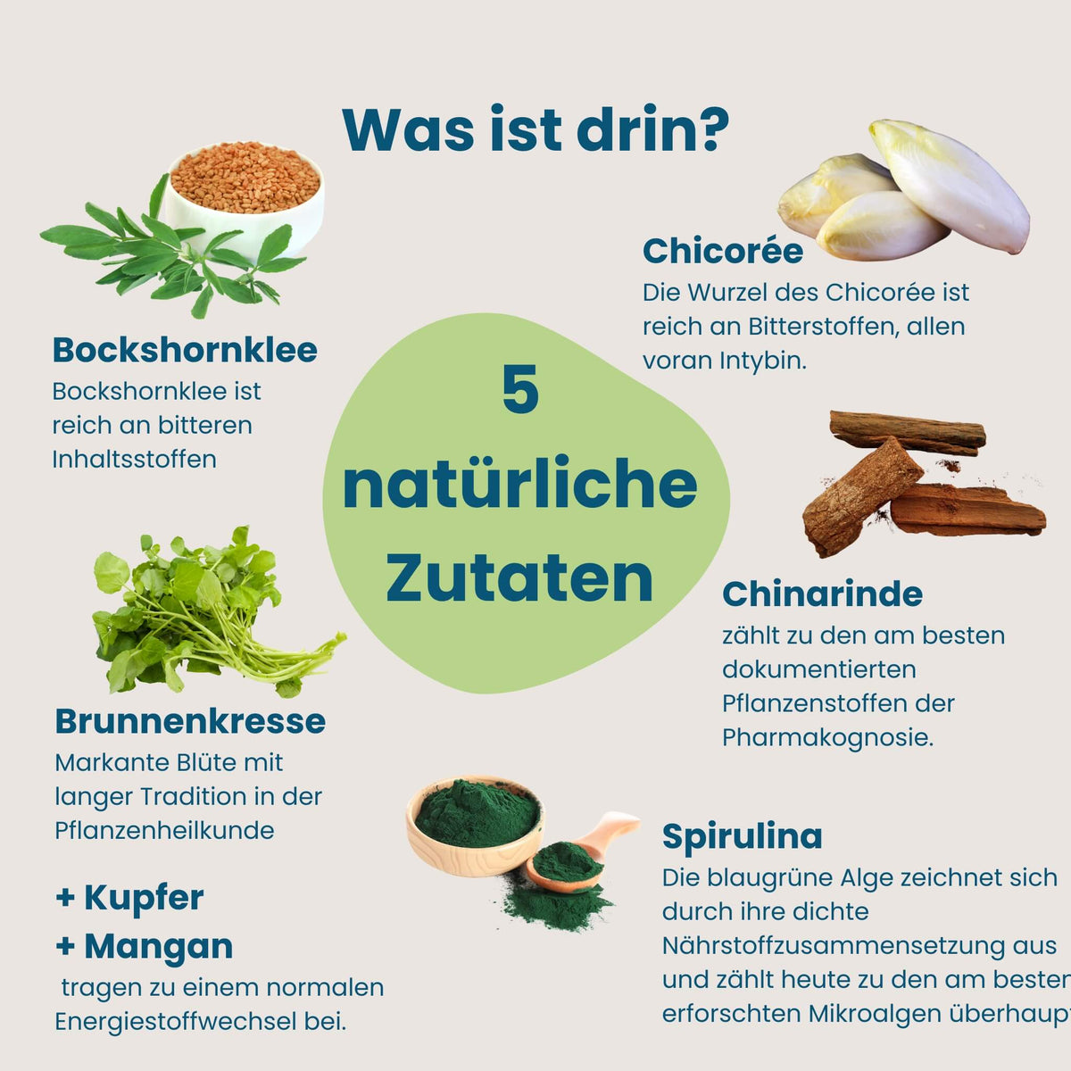 Übersicht der fünf natürlichen Pflanzenextrakte in Mahlzeit!