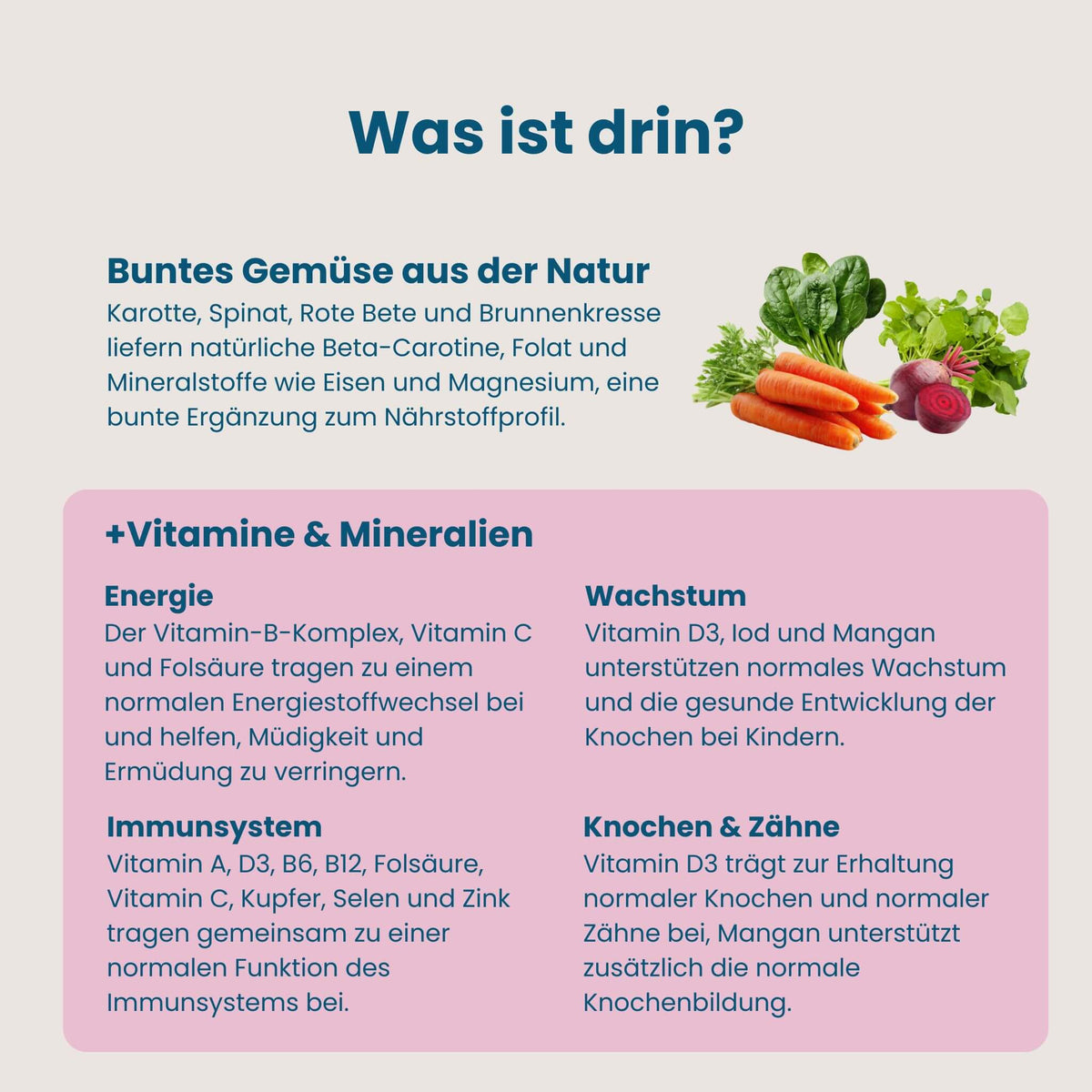 Übersicht der Nährstoffe in Mister Big für Wachstum, Energie, Immunsystem sowie Knochen und Zähne
