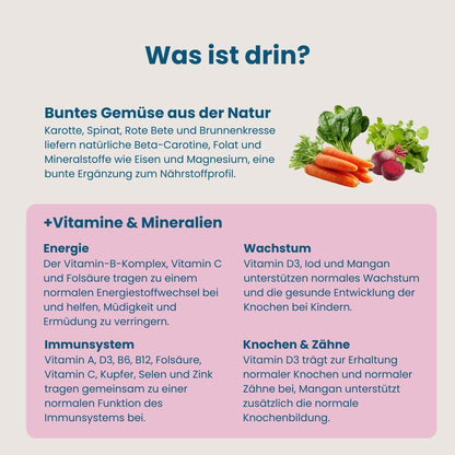 Übersicht der Nährstoffe in Mister Big für Wachstum, Energie, Immunsystem sowie Knochen und Zähne