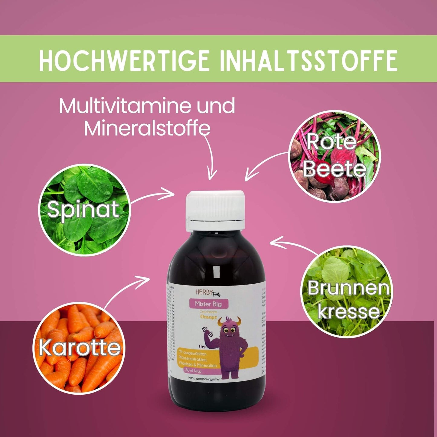 Flasche Mister Big mit Bildern der Inhaltsstoffe